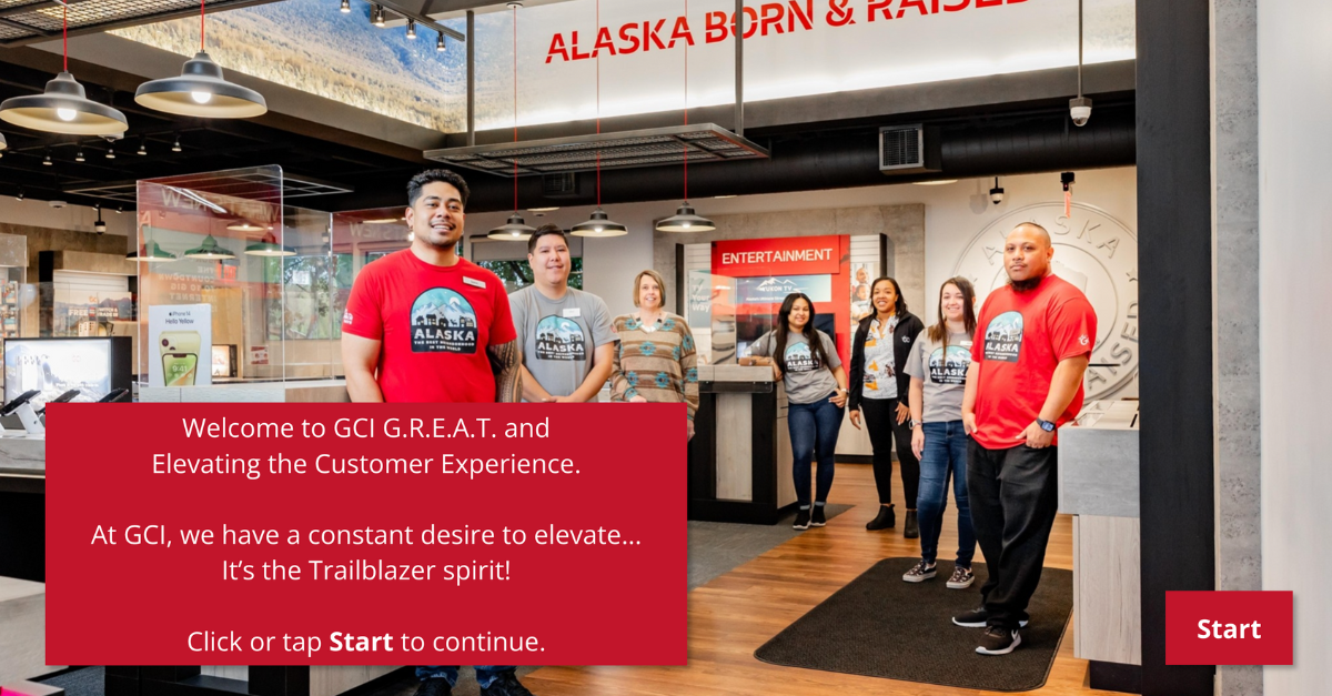 Elevating the Customer Experience (Storyline version)